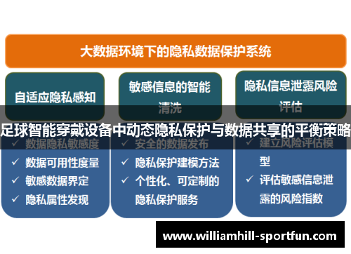 足球智能穿戴设备中动态隐私保护与数据共享的平衡策略